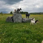 Des Blancs Cailloux * Mousny