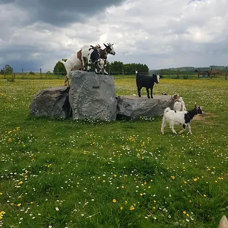 Des Blancs Cailloux * Mousny