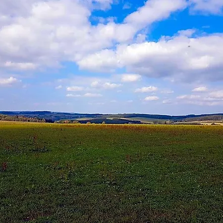 Des Blancs Cailloux Mousny